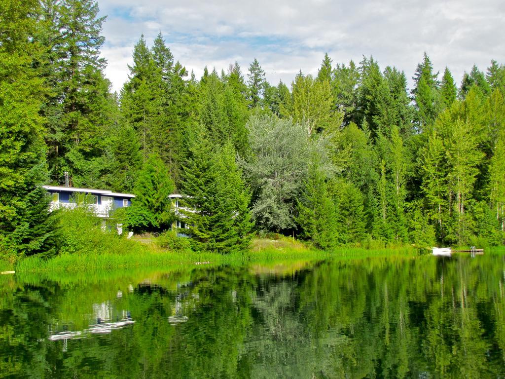 Jasper Way Inn Resort & Campground Клиъруотър Стая снимка